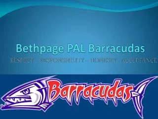 Bethpage PAL Barracudas