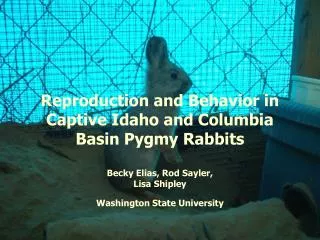 Reproduction and Behavior in Captive Idaho and Columbia Basin Pygmy Rabbits