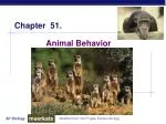 Animal Behavior - slide 1