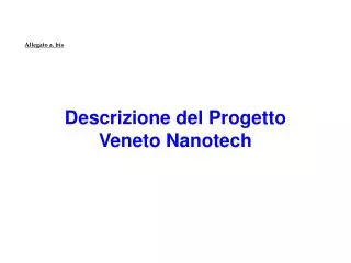 Descrizione del Progetto Veneto Nanotech