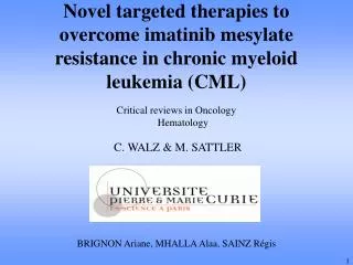 Novel targeted therapies to overcome imatinib mesylate resistance in chronic myeloid leukemia (CML)