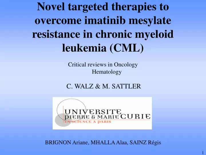 novel targeted therapies to overcome imatinib mesylate resistance in chronic myeloid leukemia cml