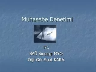 muhasebe denetimi