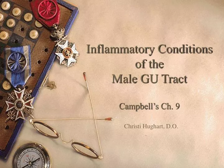 inflammatory conditions of the male gu tract campbell s ch 9