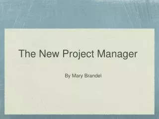 The New Project Manager