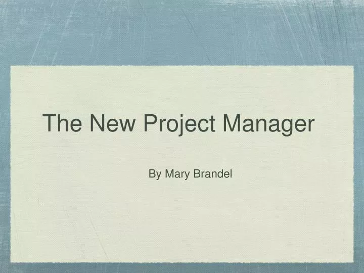 the new project manager