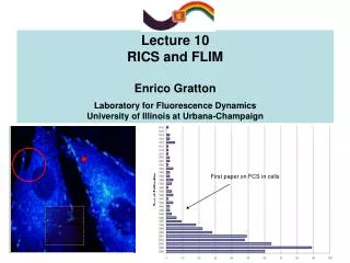 Lecture 10 RICS and FLIM Enrico Gratton Laboratory for Fluorescence Dynamics University of Illinois at Urbana-Champaign