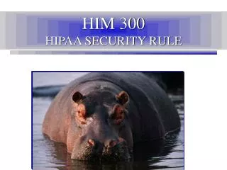 HIM 300 HIPAA SECURITY RULE
