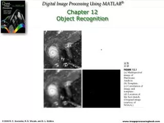 Chapter 12 Object Recognition