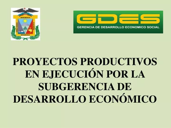 proyectos productivos en ejecuci n por la subgerencia de desarrollo econ mico