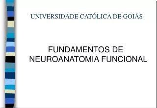 universidade cat lica de goi s