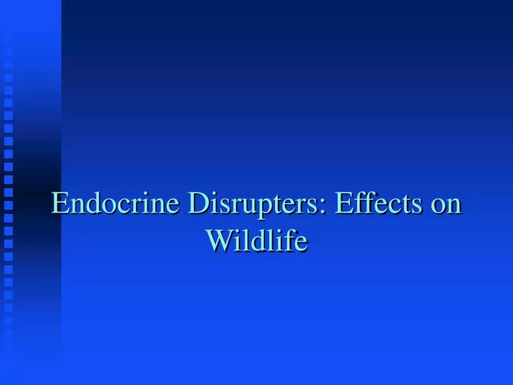 endocrine disrupters effects on wildlife