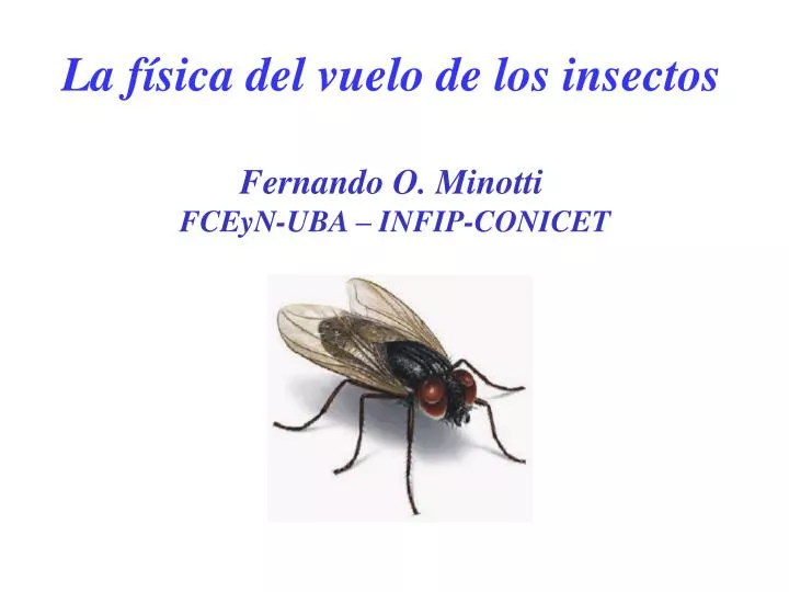la f sica del vuelo de los insectos fernando o minotti fceyn uba infip conicet