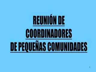 REUNIÓN DE COORDINADORES DE PEQUEÑAS COMUNIDADES