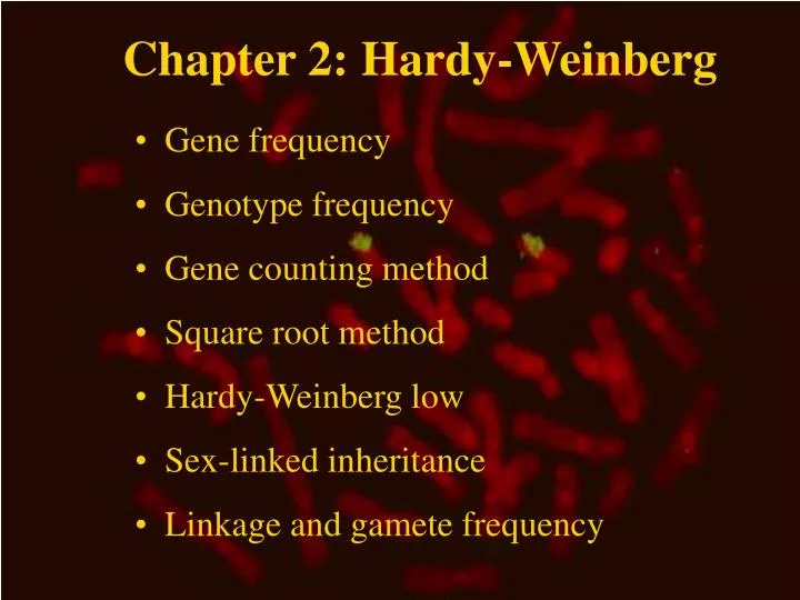 chapter 2 hardy weinberg