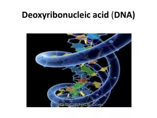 deoxyribonucleic acid dna