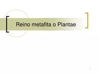 reino metafita o plantae
