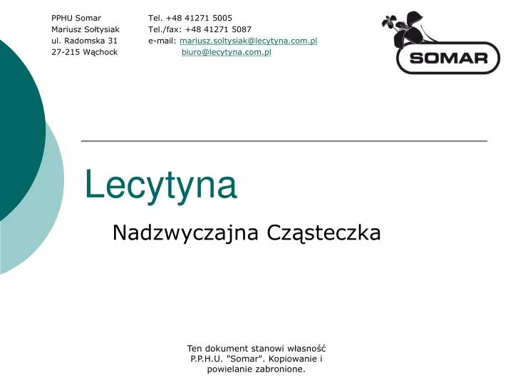 lecytyna