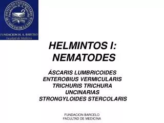 helmintos i nematodes