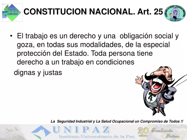 constitucion nacional art 25