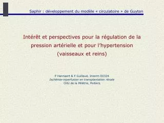 Intérêt et perspectives pour la régulation de la pression artérielle et pour l’hypertension (vaisseaux et reins) P Hanna
