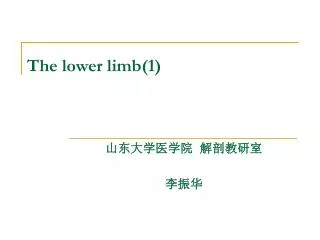The lower limb(1)
