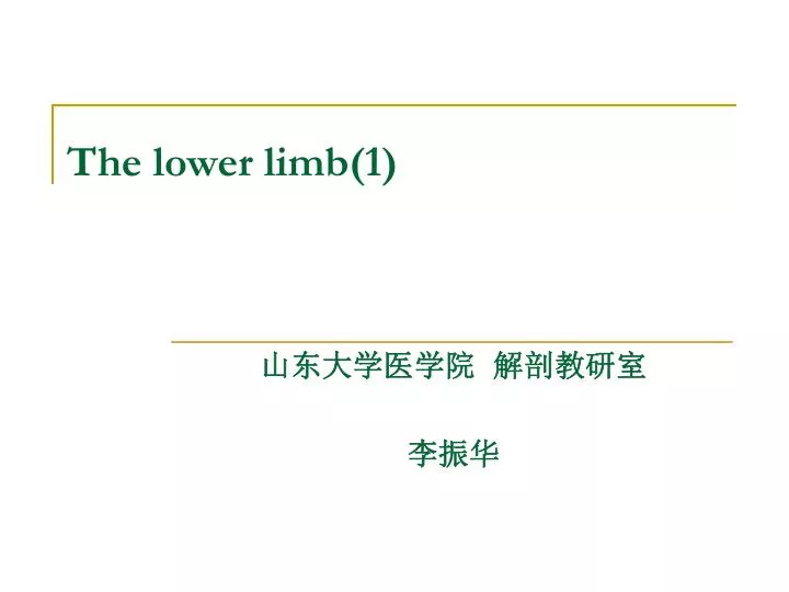 the lower limb 1
