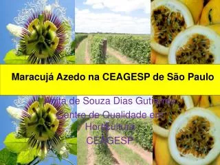 Anita de Souza Dias Gutierrez Centro de Qualidade em Horticultura CEAGESP