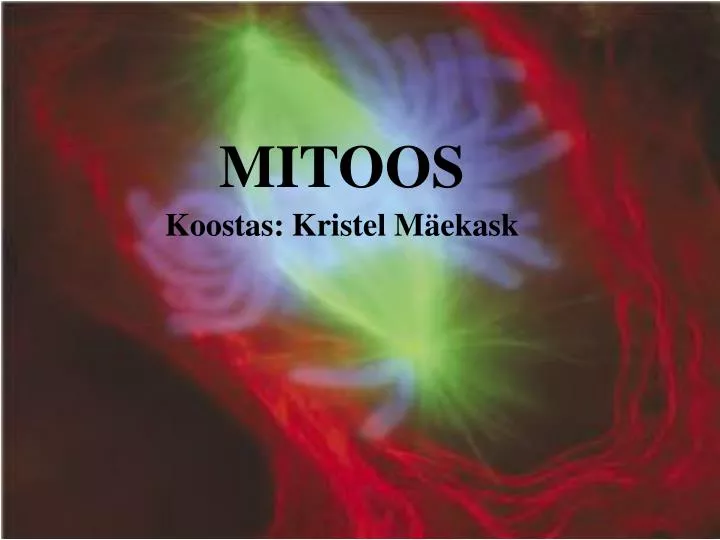 mitoos