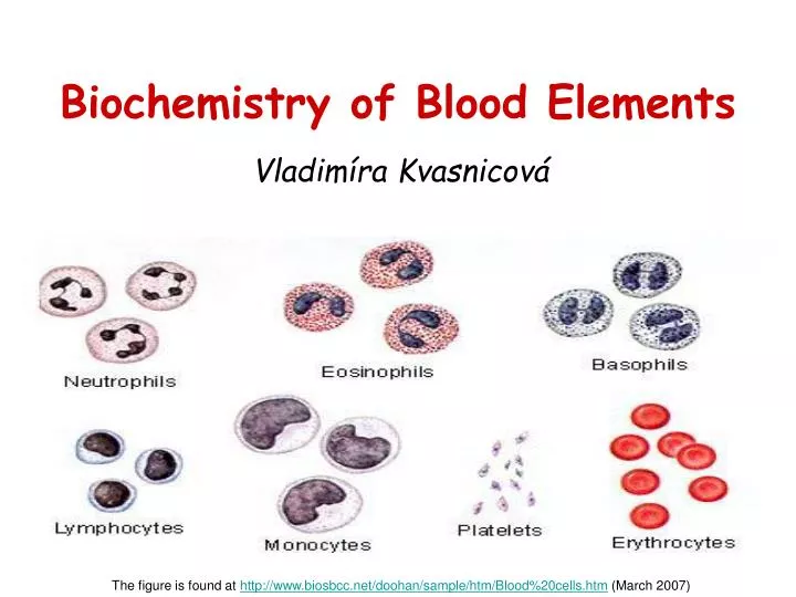 biochemistry of blood elements