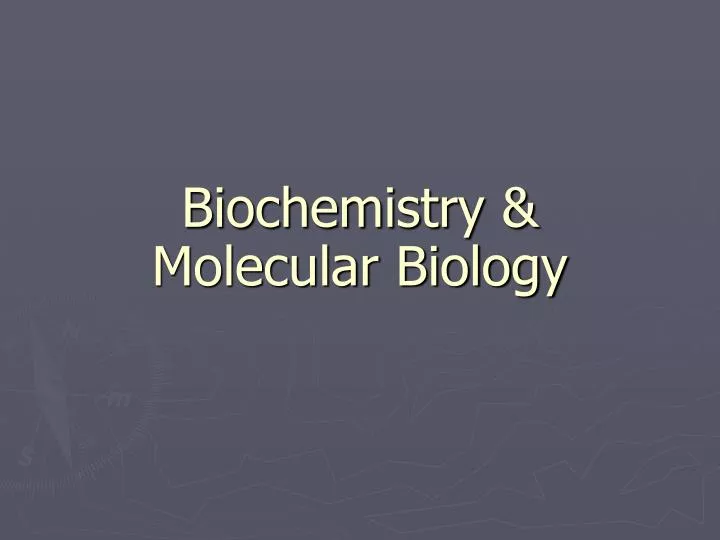 PPT - Biochemistry & Molecular Biology PowerPoint Presentation - ID:931924