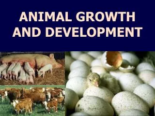 ANIMAL GROWTH AND DEVELOPMENT