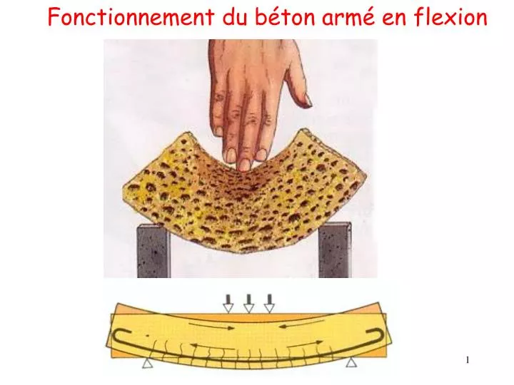 fonctionnement du b ton arm en flexion