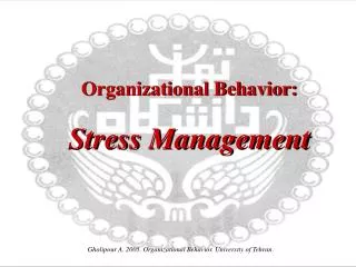 Organizational Behavior: Stress Management