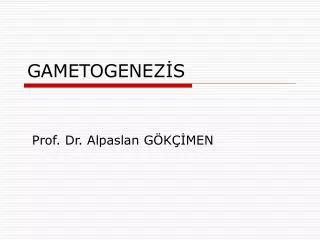 GAMETOGENEZİS