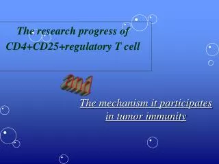 The research progress of CD4+CD25+regulatory T cell