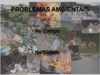 problemas ambientais