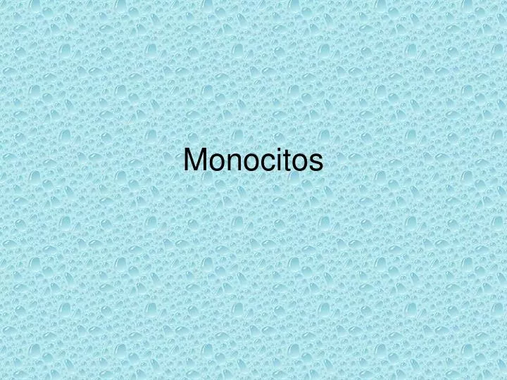 monocitos