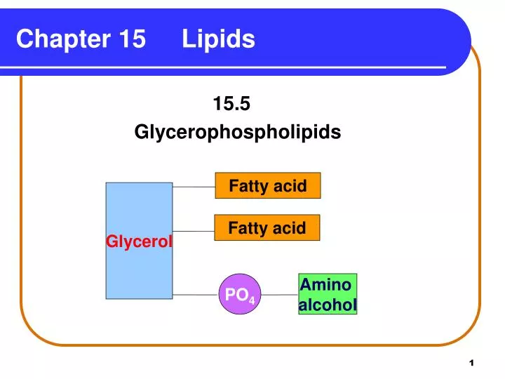 chapter 15 lipids