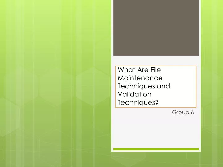 what are file maintenance techniques and validation techniques
