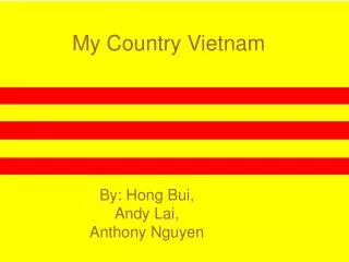 My Country Vietnam