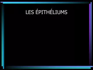 les pith liums