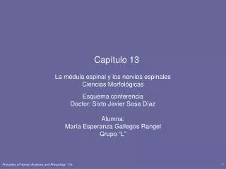 cap tulo 13