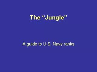 The “Jungle”