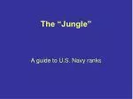 The “Jungle”