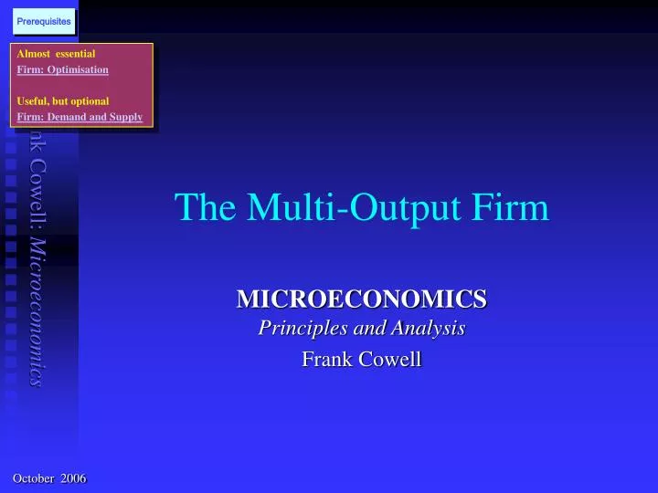 the multi output firm