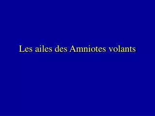 Les ailes des Amniotes volants