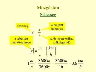 mozg stan