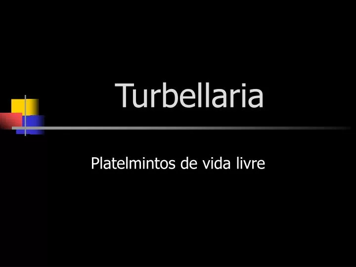 turbellaria