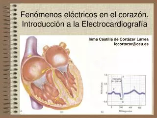 Fenómenos eléctricos en el corazón. Introducción a la Electrocardiografía